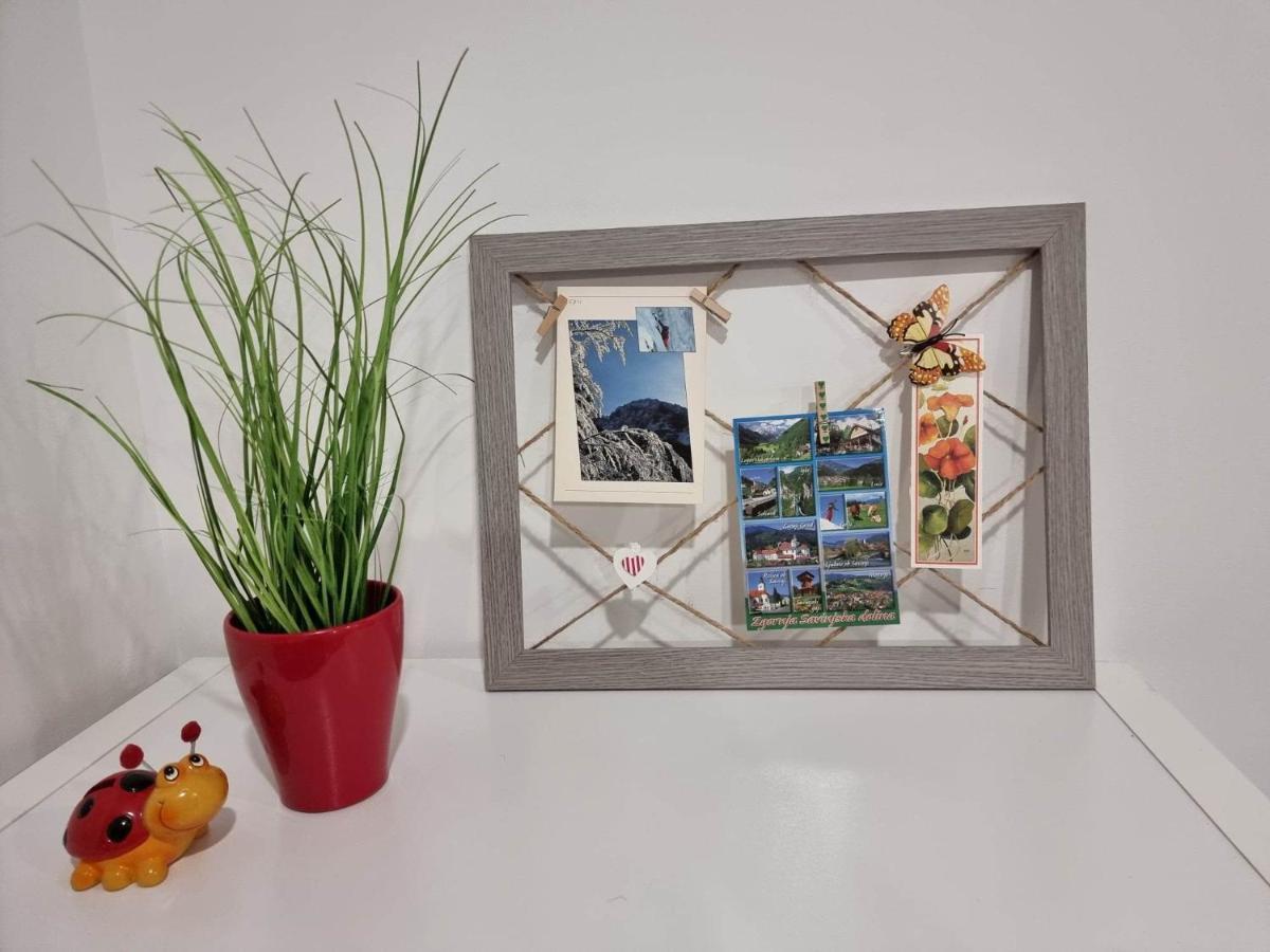Apartmaji Ribic Ljubno Eksteriør bilde