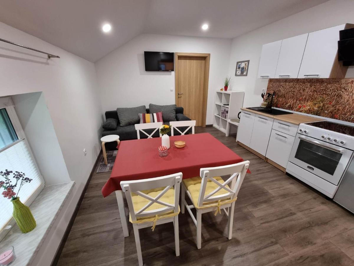 Apartmaji Ribic Ljubno Eksteriør bilde