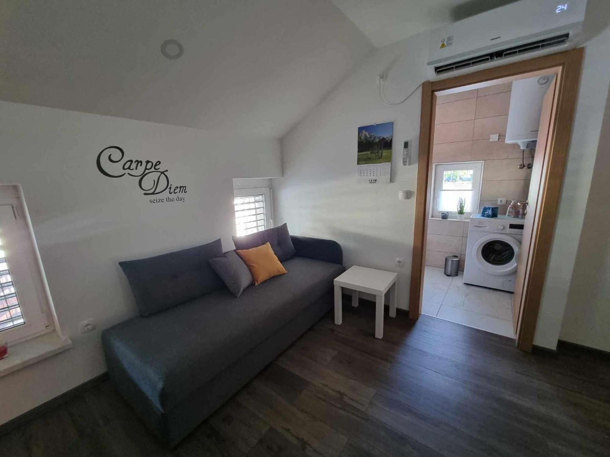 Apartmaji Ribic Ljubno Eksteriør bilde