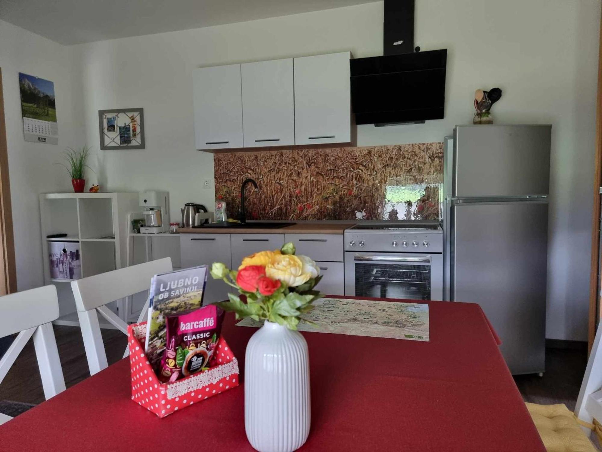 Apartmaji Ribic Ljubno Eksteriør bilde